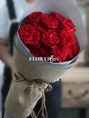 HB052 - HỒNG ĐỎ OHARA