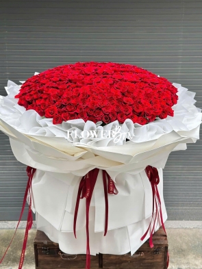 HB058 - BÓ HỒNG ECUDOR 400 BÔNG