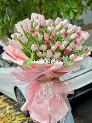 HB062 - TULIP NHẬP KHẨU