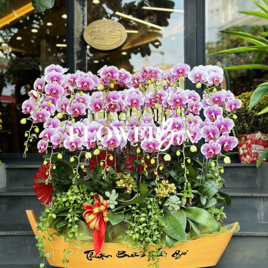 HD054 - Thuyền hoa 20 cành