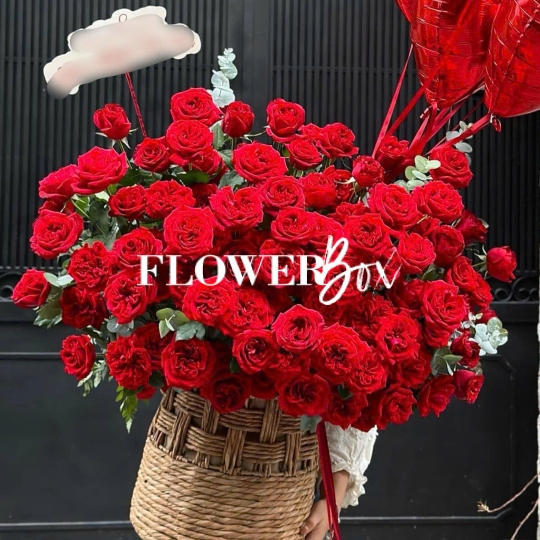 SN045