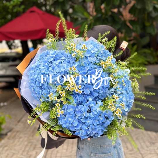 HB073 - CẨM TÚ CẦU NK