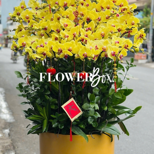 HD052 - Chậu HD  Composite 35 cành