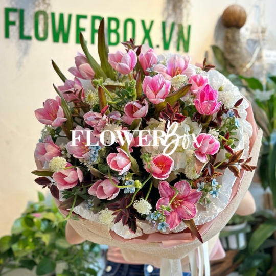 HB065 - TULIP NHUỘM