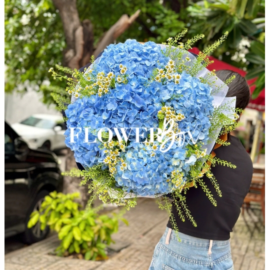 HB073 - CẨM TÚ CẦU NK