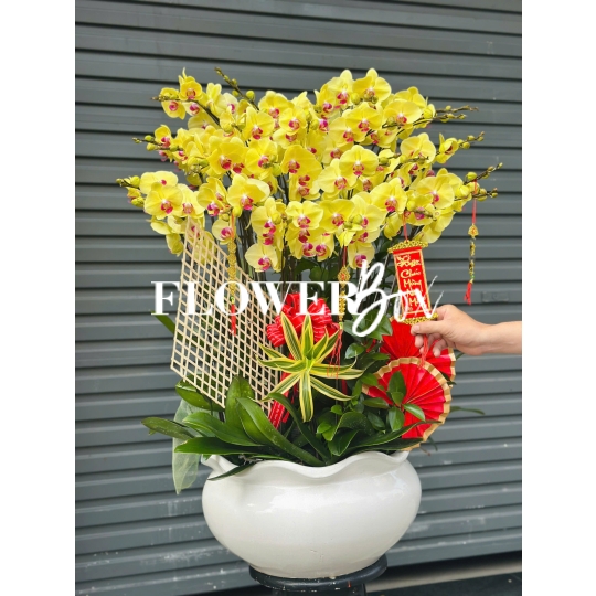 HD040 - Chậu hồ điệp 20 cành