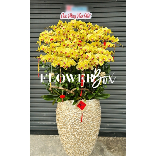HD051 - Chậu HD Khảm Trai  45 cành