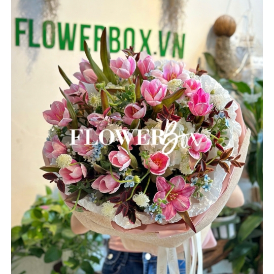 HB065 - TULIP NHUỘM